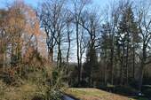 Blick vom Balkon auf den Kruppwald - 