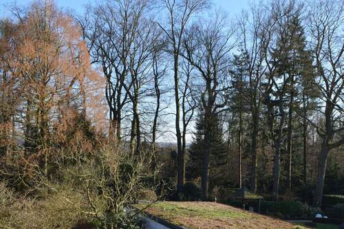 Blick vom Balkon auf den Kruppwald - 