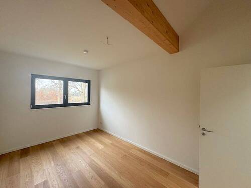 Zimmer3.jpg - 