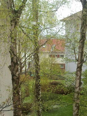 Blick aus der Küche - 