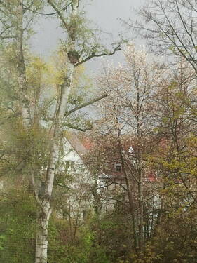 Blick vom Wohnzimmer - 