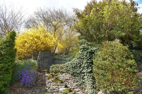Bauerngarten.jpg - 8 Zimmer Mehrfamilienhaus, Wohnhaus in Bacharach
