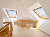 Galerie - 