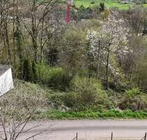 Attraktives Grundstück in sonniger Hanglage mit freier Aussicht und hoher Privatsphäre - Körperich