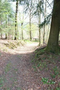 Weg zwischen den Flurstücken.JPG - 