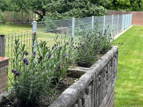 Garten_2.jpg - Doppelhaushälfte mit 140,00 m² in Moers zur Miete