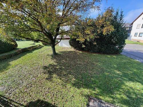 Blick zum Hintergarten - Mehrfamilienhaus, Wohnhaus mit 293,00 m² in Boxberg zum Kaufen