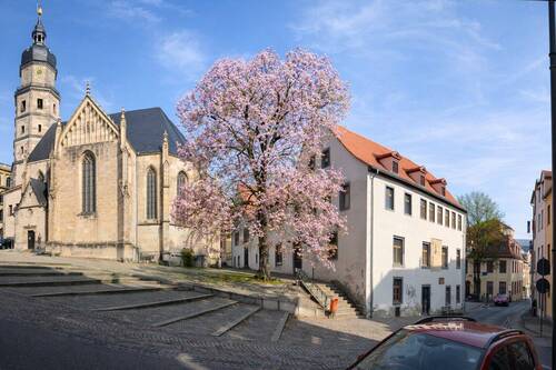 Burgstraße - 1 Zimmer Mehrfamilienhaus, Wohnhaus zum Kaufen in Altenburg