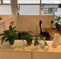 Coworking Freilassing - All-in-Miete