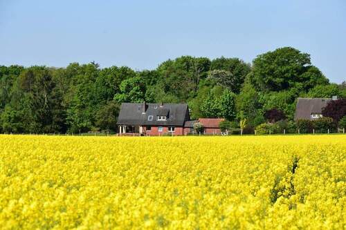 Ansicht v Osten - 8 Zimmer Einfamilienhaus zum Kaufen in Marklohe / Oyle