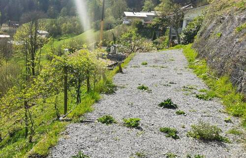 Sundeck - 