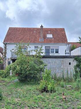 Rückansicht - 1 Zimmer Mehrfamilienhaus, Wohnhaus zum Kaufen in Haßloch