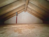 Dachspitz - 