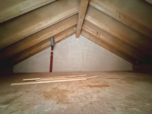 Dachspitz - 