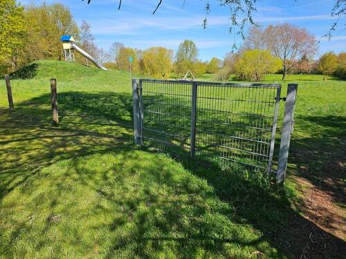 20260428_105137.jpg - 