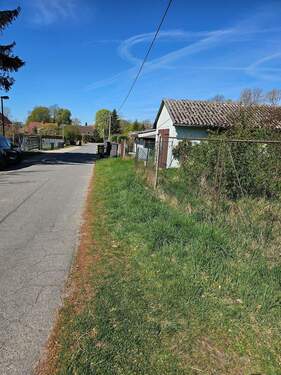 20260428_105224.jpg - 