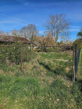 20260428_105230.jpg - 