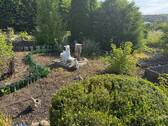 IMG_3389 - 