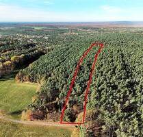 Waldflächen mit ca. 15.615 m² Gesamtfläche - Neukirch Gottschdorf