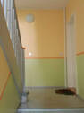 Treppenhaus - 