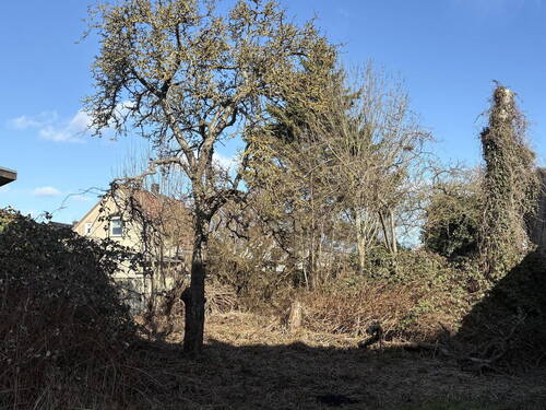 Bild 3 - Grundstück in Wolgast