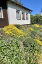 Garten vor dem Haus - 