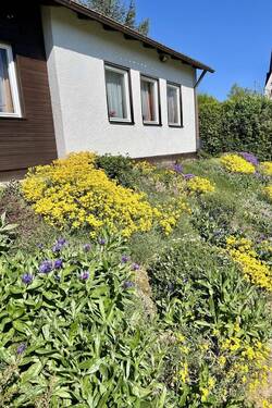 Garten vor dem Haus - 