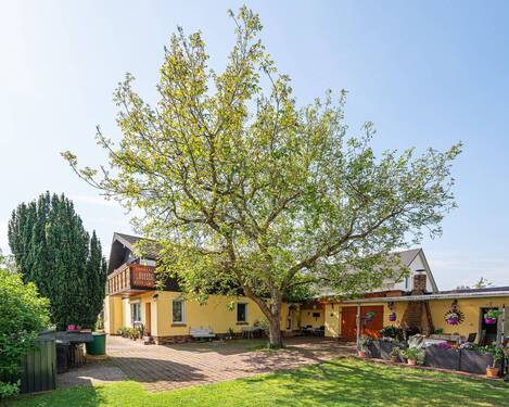 Ansicht - 