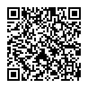 QR-Code - 