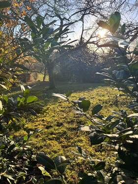 Gartengrundstück - Grundstück in Kämpfelbach zum Kaufen