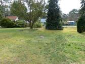 Garten_.JPG - 