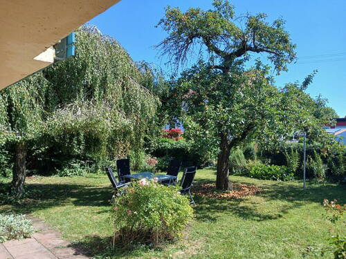 Garten vom Wohnzimmer aus - 