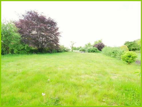 Garten - 