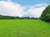 Wiese - Ansicht I - 