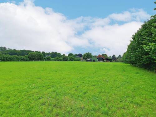 Wiese - Ansicht I - 