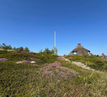 Bild 1 - Reetdachhaus mit Weitblick bis zum Leuchtturm