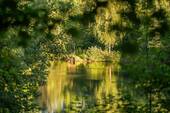 Bramfelder Kiesgrube - 