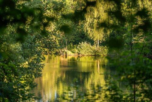 Bramfelder Kiesgrube - 