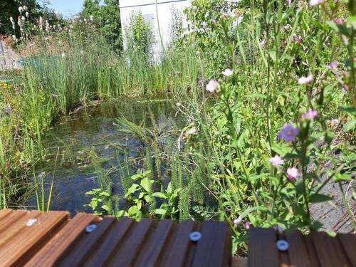 Gartenteich - 