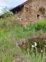 Steinhaus - 
