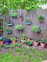 kleiner Garten hinter dem Haus - 
