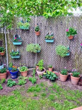 kleiner Garten hinter dem Haus - 