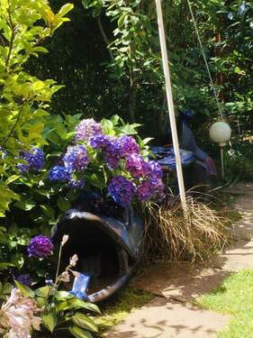 Eingewachsener Garten - 