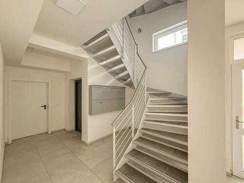 Gepflegtes Treppenhaus - 