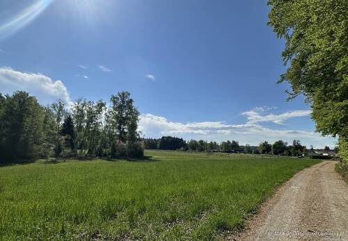 Umfeld Wiese / Felder beim Grundstück - 