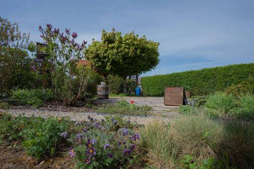 Garten - 