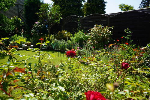 Garten - 