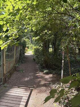 IMG_1566neu - 2 Zimmer Etagenwohnung zum Kaufen in Berlin