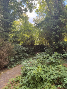 IMG_1565 (480x640) - 2 Zimmer Etagenwohnung in Berlin