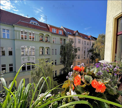 Ausblick aus Loggia / Wintergarten - Keine zusätzliche Provision für Käufer! Einfach zum Wohlfühlen - mit ordentlichem Altbau-Charme!